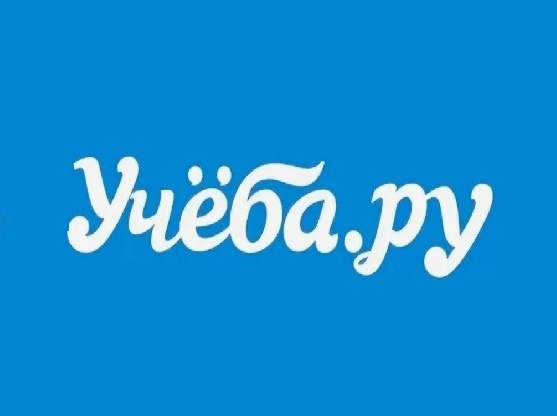 Онлайн-конференция.