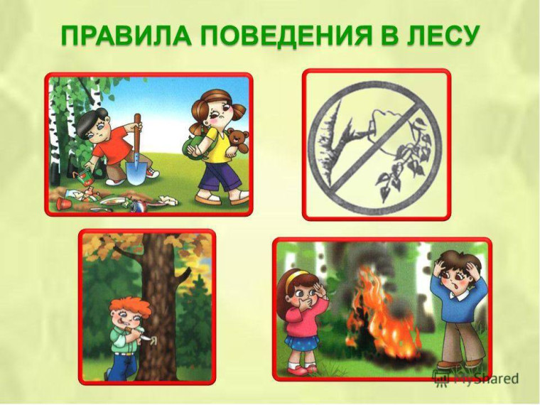 Безопасное поведение в лесу.